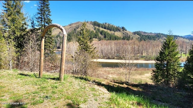 19856 B St Joe River Rd, Calder, ID 83808 - mountain view featuring a water view and a view of trees