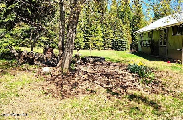 19856 B St Joe River Rd, Calder, ID 83808 - view of yard