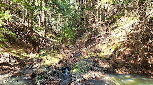 19856 B St Joe River Rd, Calder, ID 83808 - view of local wilderness