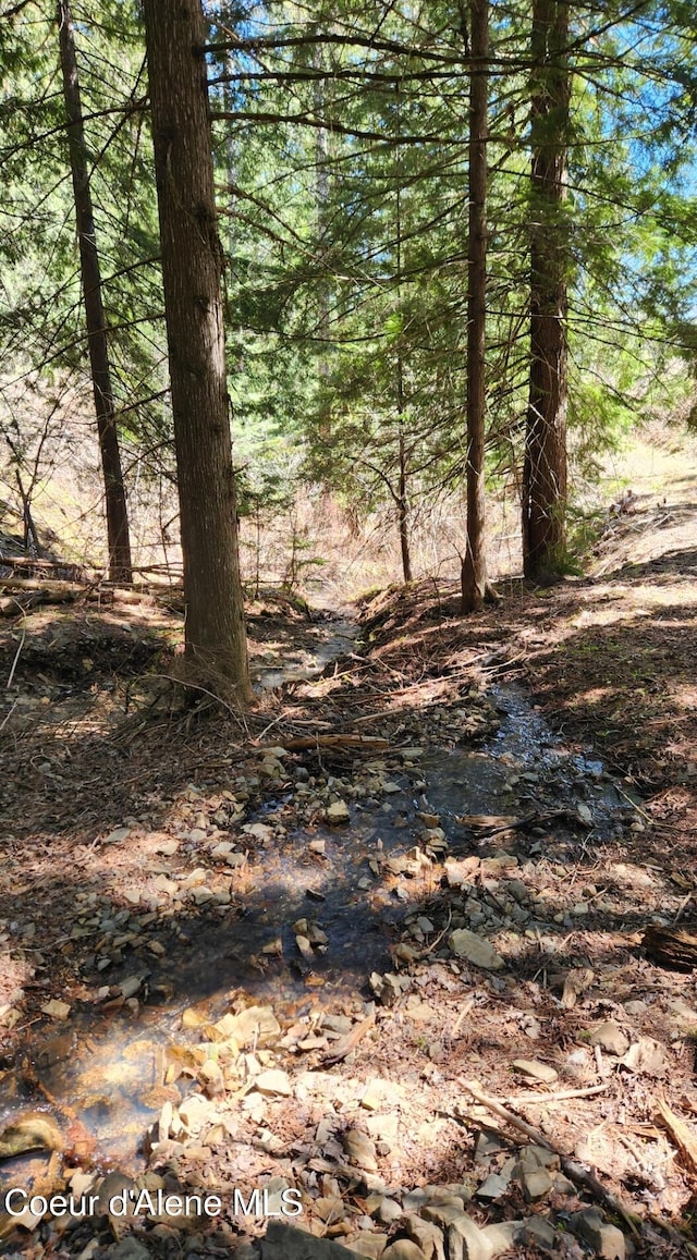 19856 B St Joe River Rd, Calder, ID 83808 - view of landscape