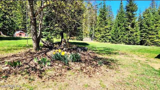 19856 B St Joe River Rd, Calder, ID 83808 - view of yard