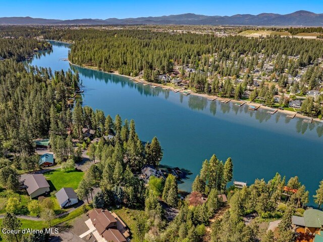 bird's eye view with a water and mountain view and a forest view