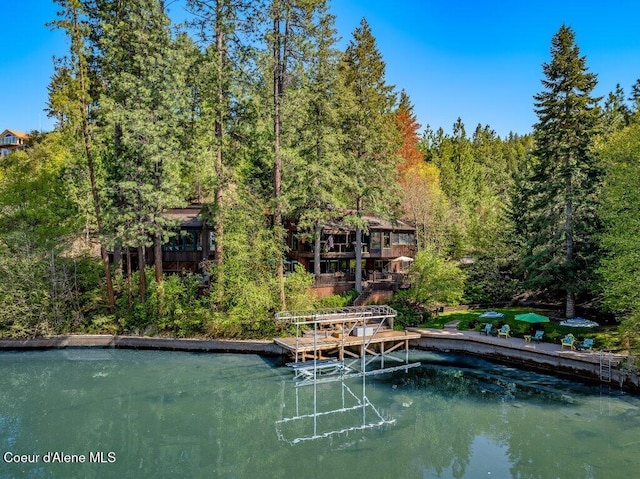 dock area with a view of trees