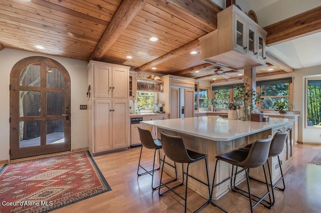 kitchen with light countertops, a healthy amount of sunlight, and light wood finished floors