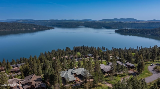 6012 W Quartzite Ln, Coeur Dalene, ID 83814 - bird's eye view of a heavily wooded area and a water and mountain view