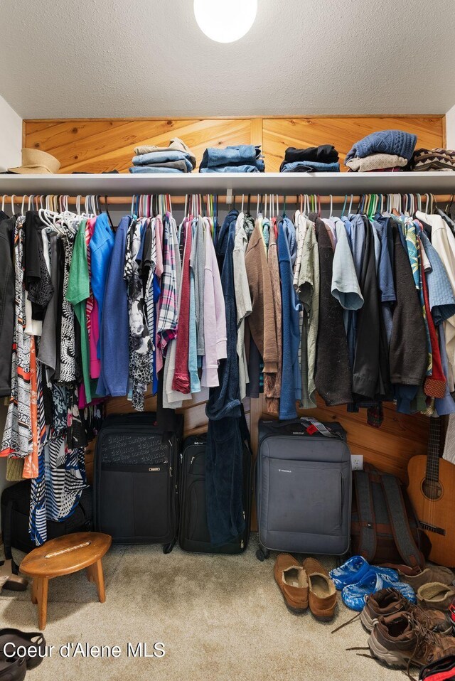 850 Hoop Loop, Priest River, ID 83856 - walk in closet with carpet flooring
