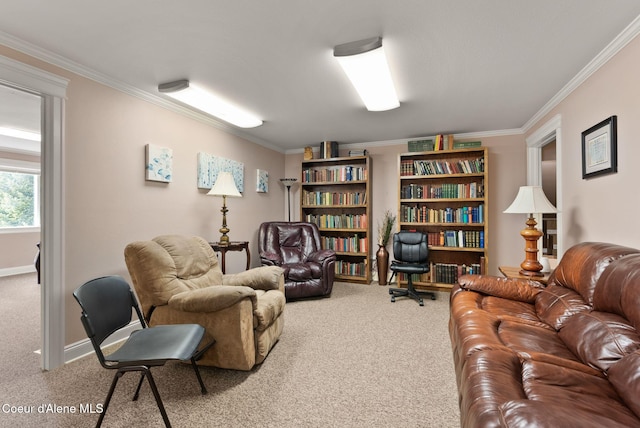850 Hoop Loop, Priest River, ID 83856 - living room with carpet, crown molding, and baseboards
