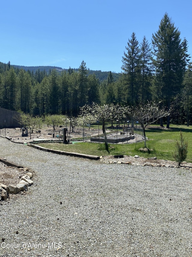 850 Hoop Loop, Priest River, ID 83856 - surrounding community with a wooded view