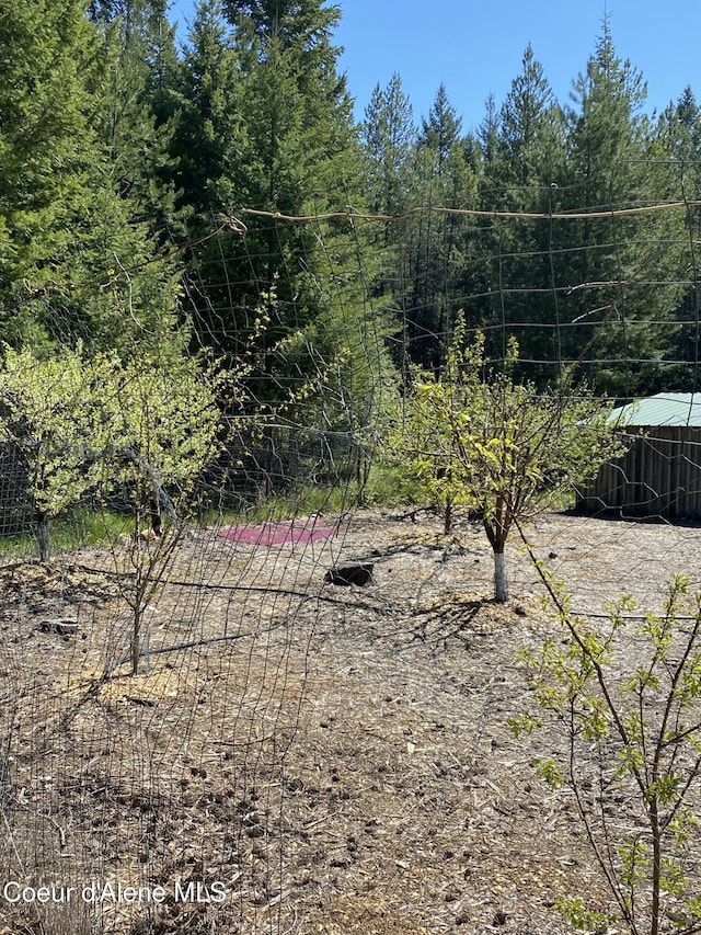 850 Hoop Loop, Priest River, ID 83856 - view of yard