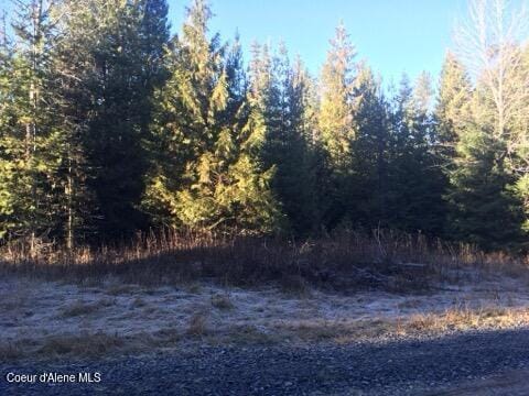 325 Buckskin Ln, Fernwood, ID 83830