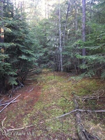 325 Buckskin Ln, Fernwood, ID 83830