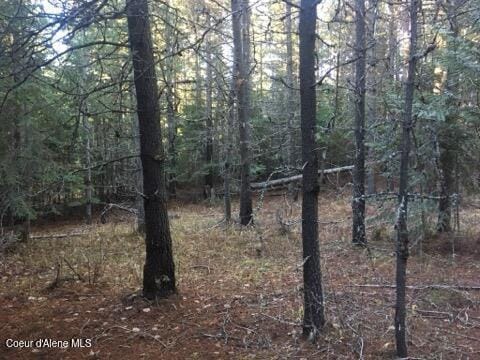 325 Buckskin Ln, Fernwood, ID 83830