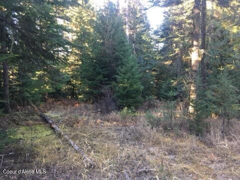 325 Buckskin Ln, Fernwood, ID 83830