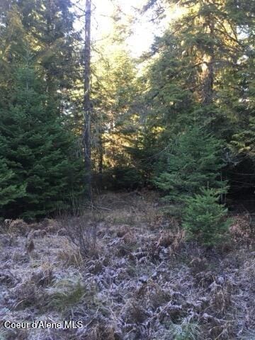 325 Buckskin Ln, Fernwood, ID 83830