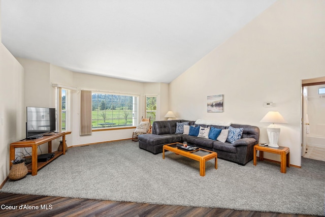 living room featuring baseboards, wood finished floors, and high vaulted ceiling