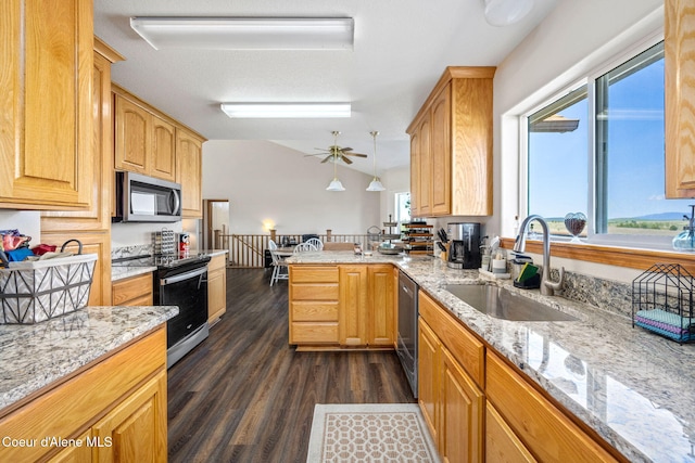 kitchen with a peninsula, light stone counters, a sink, dark wood finished floors, and appliances with stainless steel finishes