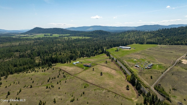 bird's eye view with a rural view, a mountain view, and a wooded view