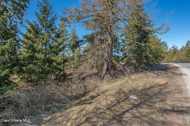 view of nature