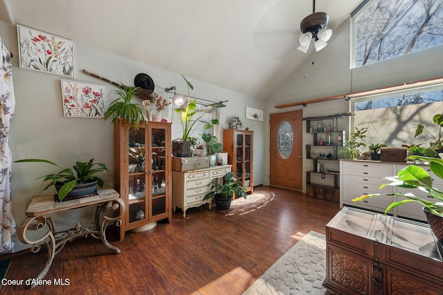 interior space featuring high vaulted ceiling, a ceiling fan, and wood finished floors