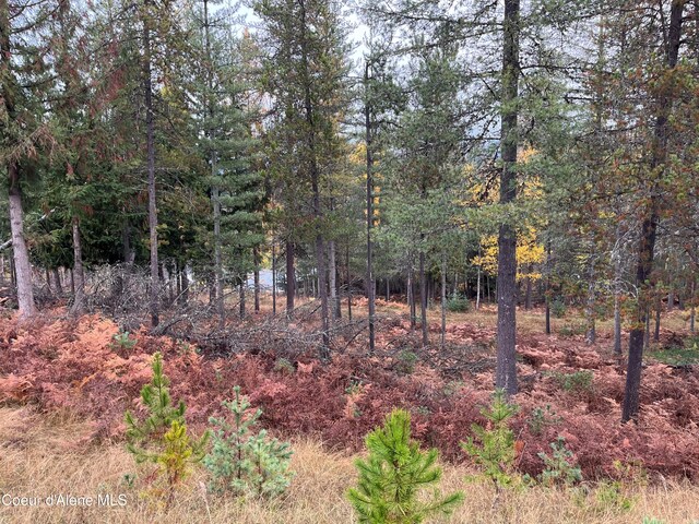 102 Blazing Saddle, Pinehurst, ID 83850