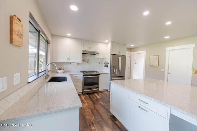 10792 N Magic Ct, Hayden, ID 83835 - kitchen with stainless steel appliances, a sink, under cabinet range hood, decorative backsplash, and dark wood-type flooring