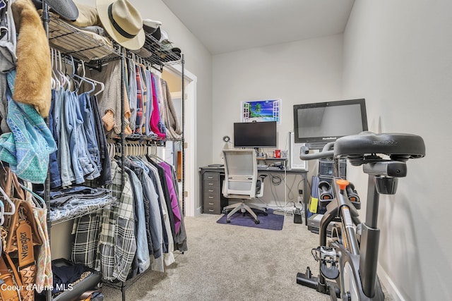 walk in closet featuring carpet floors