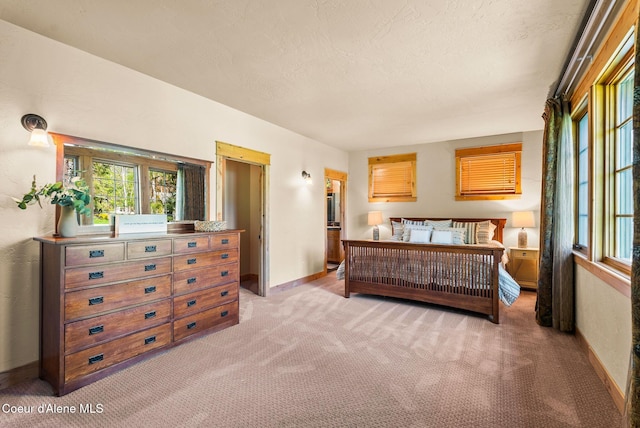 504 Hornby Pl, Dover, ID 83825 - bedroom featuring multiple windows, light carpet, baseboards, and a textured ceiling