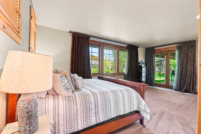 504 Hornby Pl, Dover, ID 83825 - bedroom with carpet flooring and multiple windows