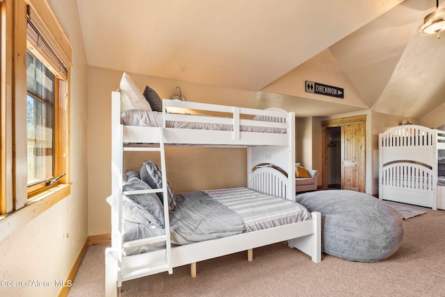 504 Hornby Pl, Dover, ID 83825 - bedroom with carpet flooring, vaulted ceiling, and a closet