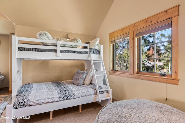 504 Hornby Pl, Dover, ID 83825 - bedroom featuring vaulted ceiling and carpet