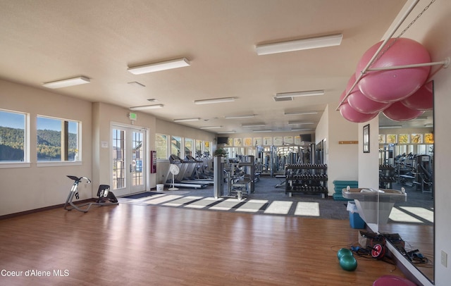 504 Hornby Pl, Dover, ID 83825 - exercise room with wood finished floors and french doors