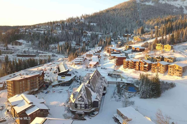 504 Hornby Pl, Dover, ID 83825 - snowy aerial view with a view of trees and a mountain view