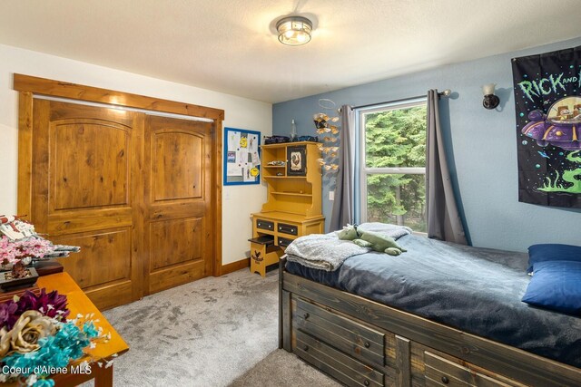 181 Calypso Ln, Sandpoint, ID 83864 - photo 22