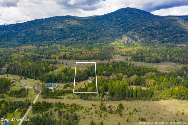 181 Calypso Ln, Sandpoint, ID 83864 - photo 34