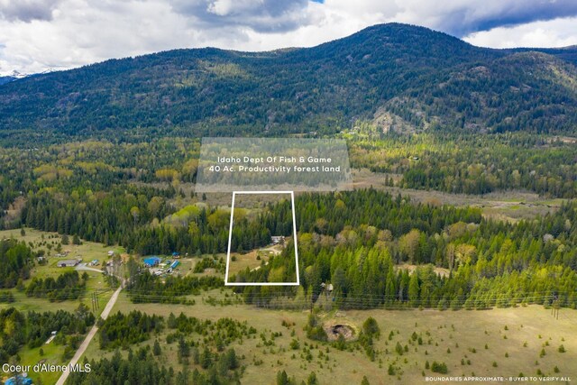 181 Calypso Ln, Sandpoint, ID 83864 - photo 35
