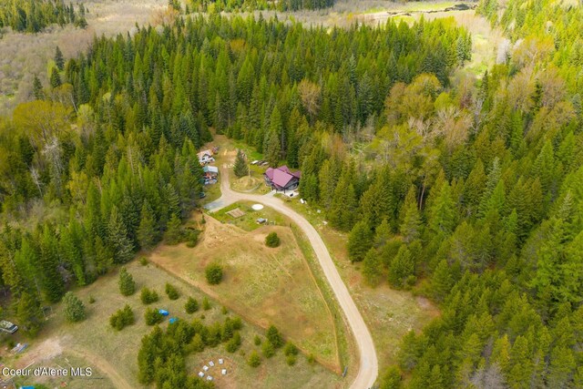 181 Calypso Ln, Sandpoint, ID 83864 - photo 36