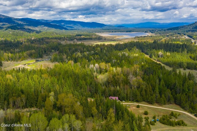 181 Calypso Ln, Sandpoint, ID 83864 - photo 49
