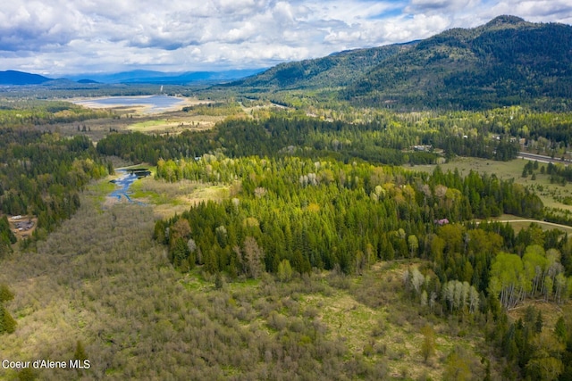 181 Calypso Ln, Sandpoint, ID 83864
