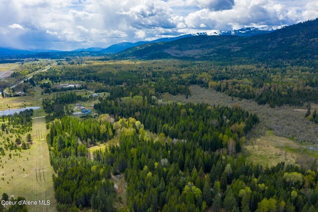 181 Calypso Ln, Sandpoint, ID 83864 - photo 51