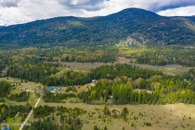 181 Calypso Ln, Sandpoint, ID 83864 - photo 53