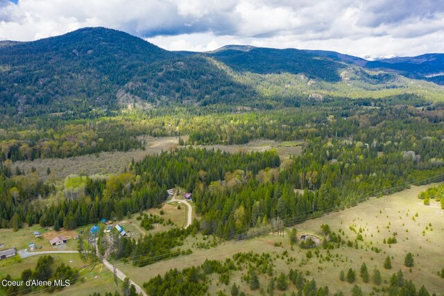 181 Calypso Ln, Sandpoint, ID 83864 - photo 54