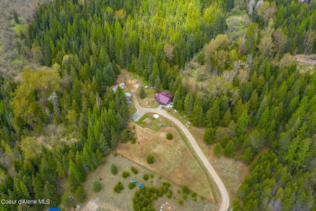 181 Calypso Ln, Sandpoint, ID 83864 - photo 56