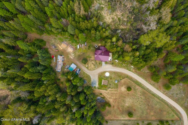 181 Calypso Ln, Sandpoint, ID 83864 - photo 57