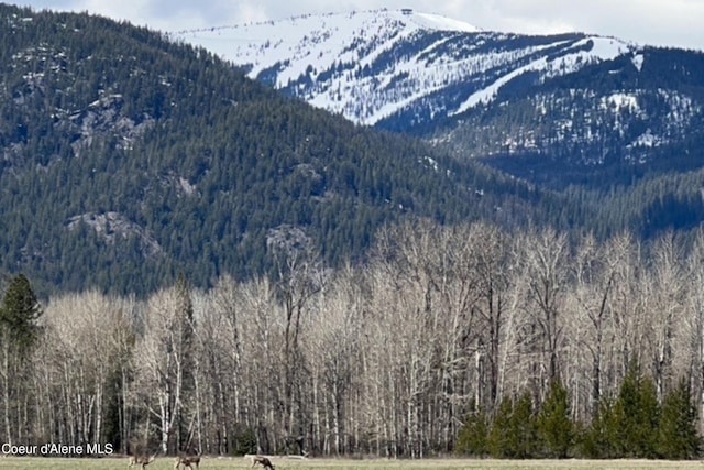 property view of mountains with a wooded view