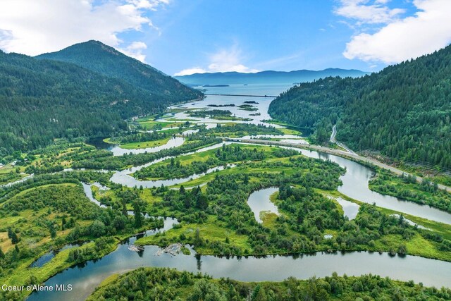 drone / aerial view with a water and mountain view and a forest view