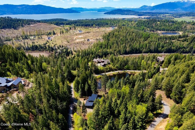 bird's eye view with a water and mountain view and a forest view