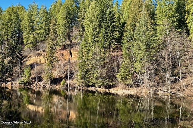 view of local wilderness with a water view and a view of trees