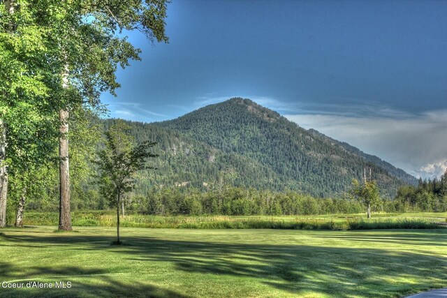 view of mountain feature with a view of trees