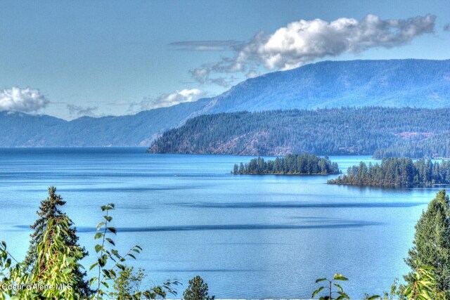 water view with a mountain view