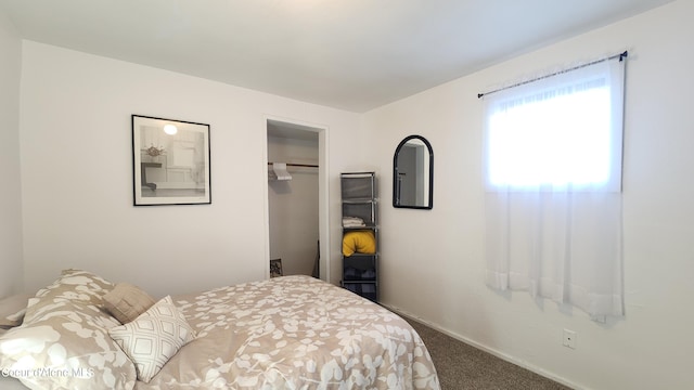 bedroom featuring baseboards, carpet, and a closet